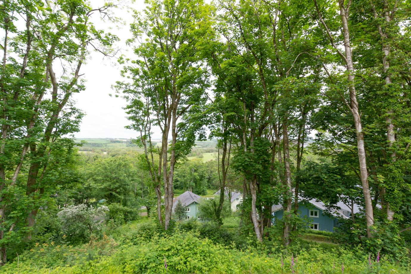 Woodland View (PW9221) Wales Cottage Holidays